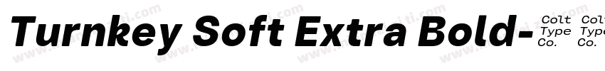 Turnkey Soft Extra Bold字体转换